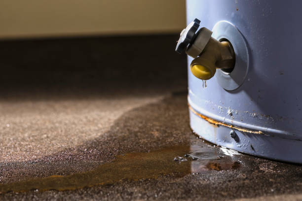 Best Water damage restoration near me  in White Mountain Lake, AZ
