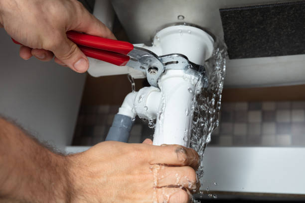 Best Mold removal after water damage  in White Mountain Lake, AZ