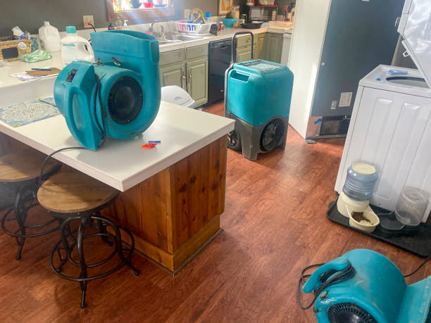 Best 24/7 water damage repair  in White Mountain Lake, AZ