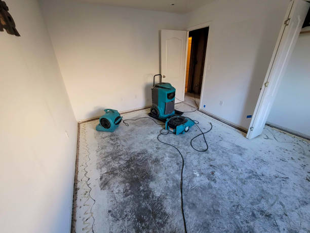 Best Water damage cleanup near me  in White Mountain Lake, AZ