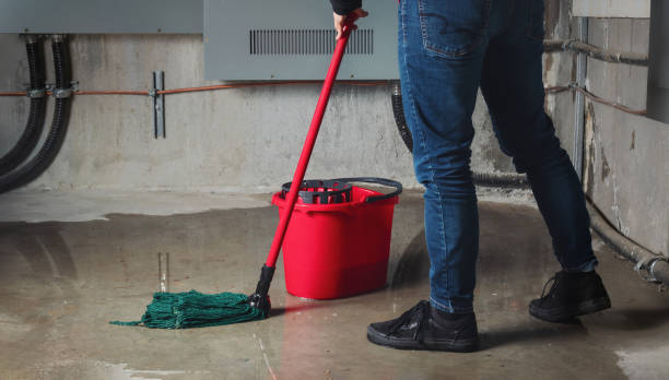 Best Flood restoration services  in White Mountain Lake, AZ