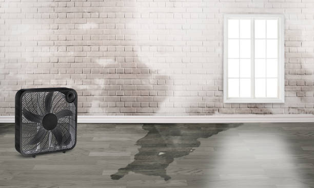 Best Residential water damage restoration  in White Mountain Lake, AZ