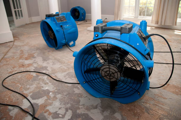 Best Commercial water damage restoration  in White Mountain Lake, AZ