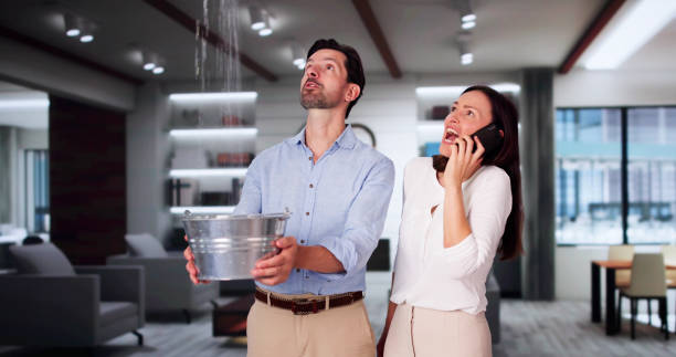 Best Water damage restoration cost  in White Mountain Lake, AZ