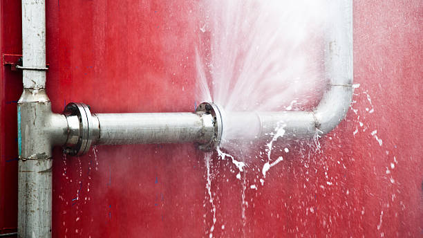 Best Professional water damage repair  in White Mountain Lake, AZ